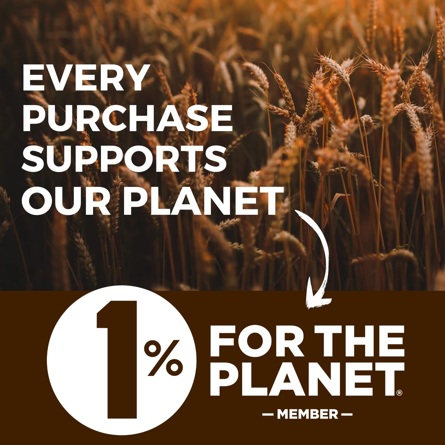 Modern Mountain Kamut Flour supports baking education and environmental causes.