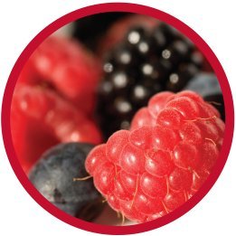Modern Oats 5 Berry hot-steaming oat cup ready for a warm morning ritual.
