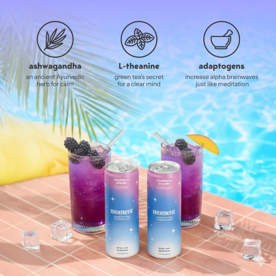 Moment Botanical Soda ingredients hibiscus mint closeup highlights natural flavor notes.