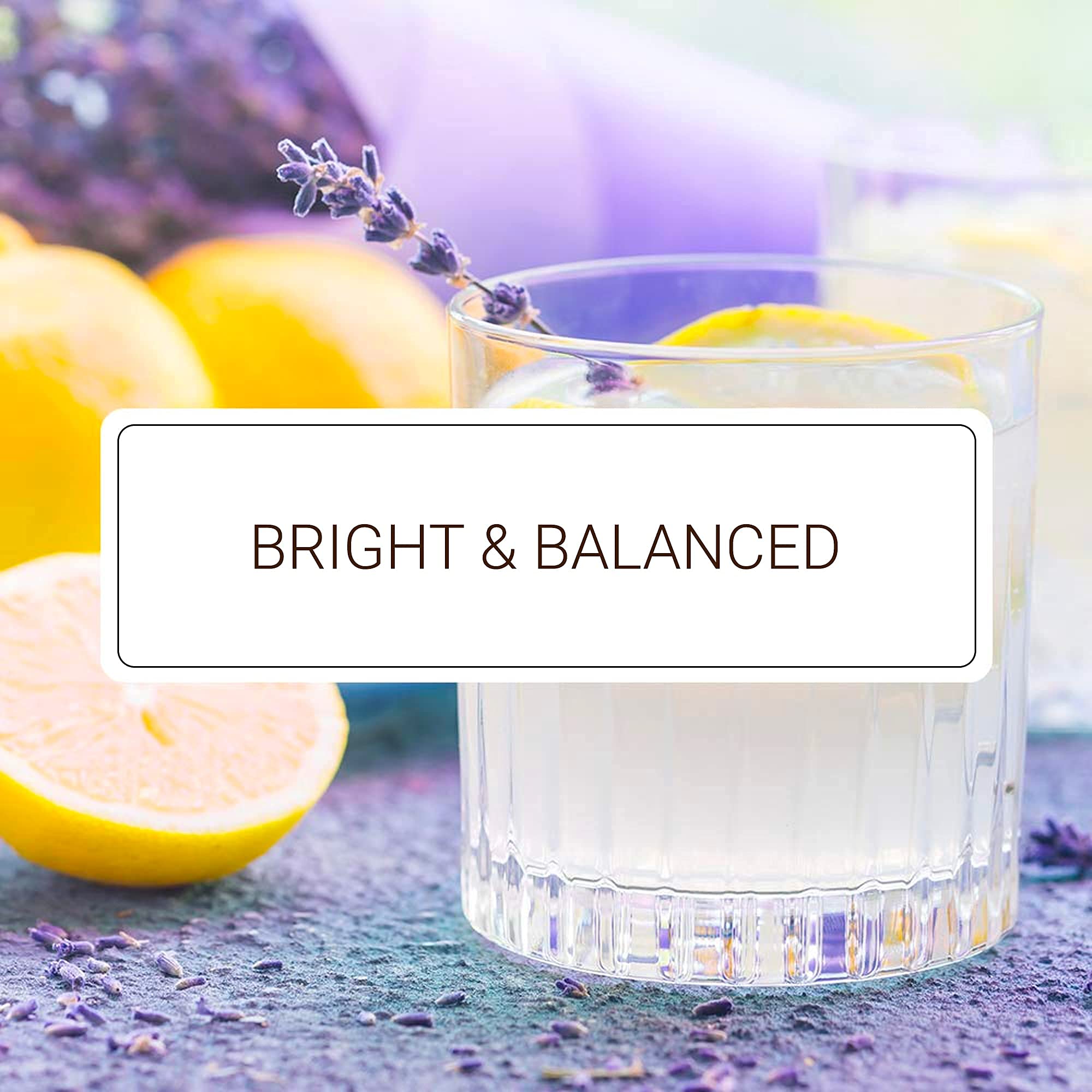 Coffee showcase with Monin Lavender Lemon Syrup enhances latte with lavender and citrus accents
