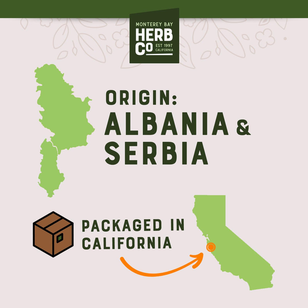 MONTEREY BAY HERB CO Juniper tea brewing for an aroma-rich infusion