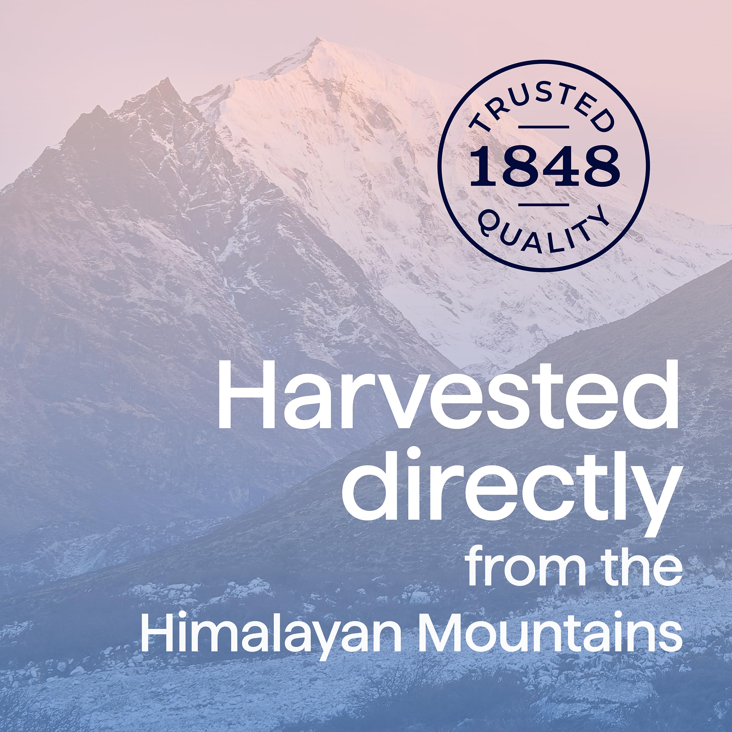 Morton iodized Himalayan pink salt kitchen usage in recipes