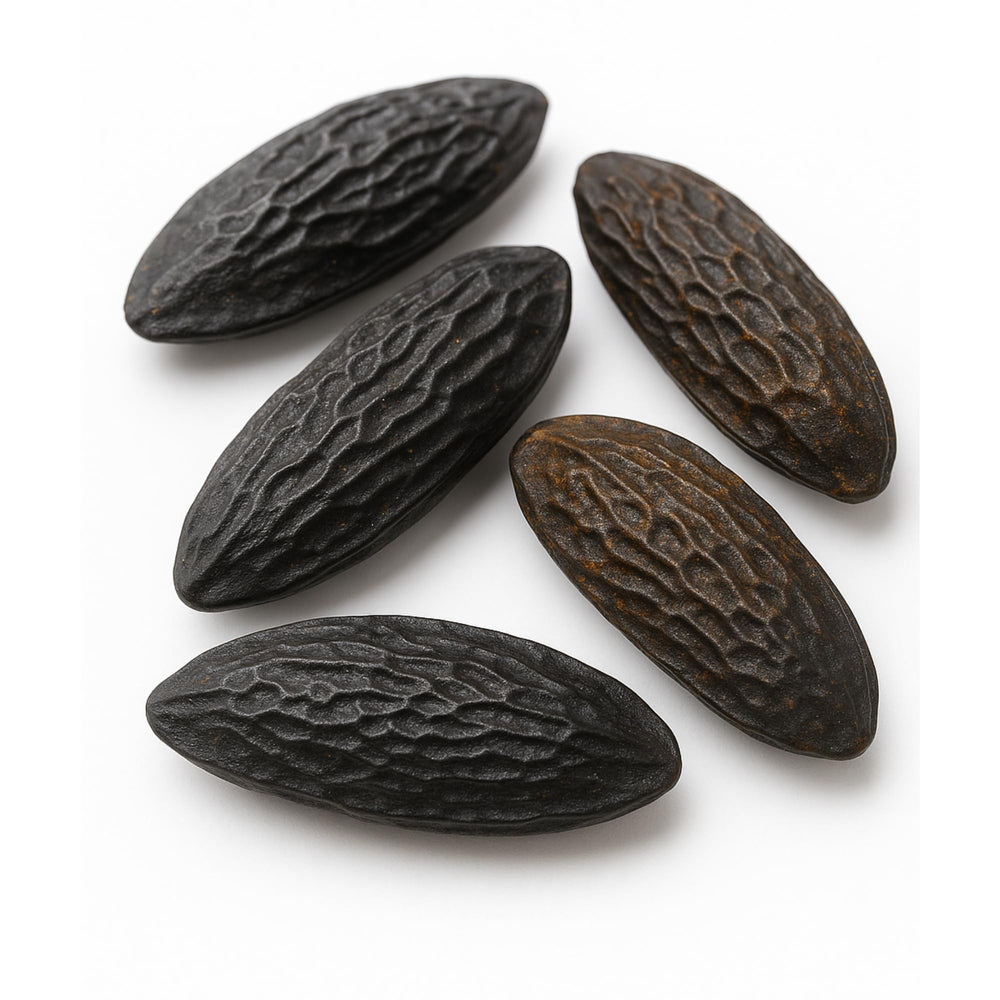 Motherland Goods tonka beans pods with rich aroma for desserts and infusions