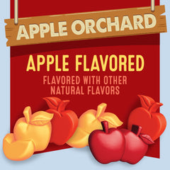 Pear, apple, and carrot juice concentrates in Mott's Apple Orchard snacks