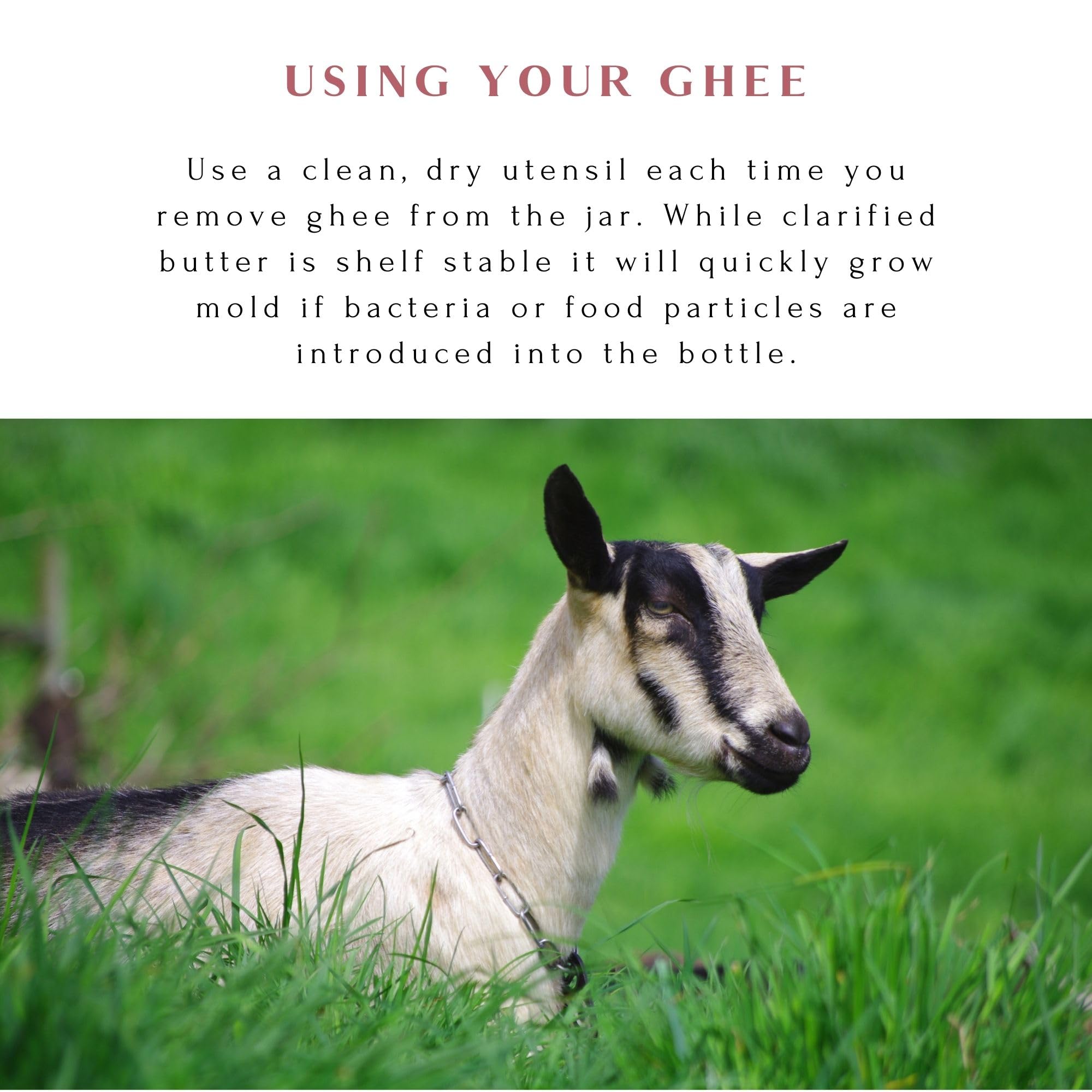 Mt. Capra Goat Milk Ghee unsalted label emphasizes pasture-raised origin.