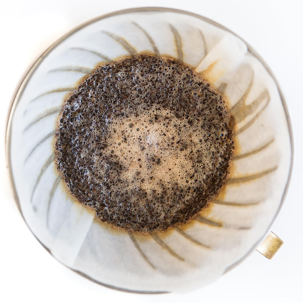 Mt. Comfort brewing with pour-over reveals clean, nuanced notes.