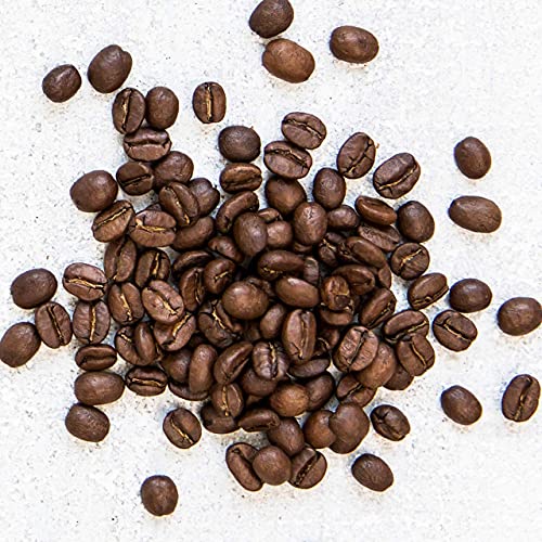 Brew-ready Mt. Comfort Guatemala beans support daily ritual coffee.