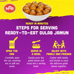 MTR Gulab Jamun fried golden-brown balls, melt-in-your-mouth texture