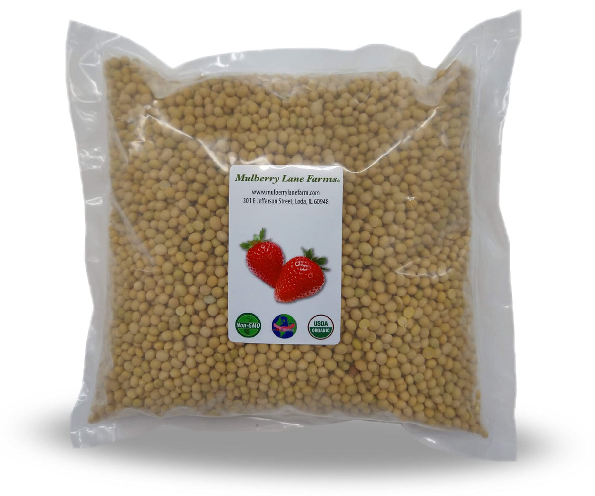 Mulberry Lane Farms organic whole soybeans in a bulk bag for easy storage.