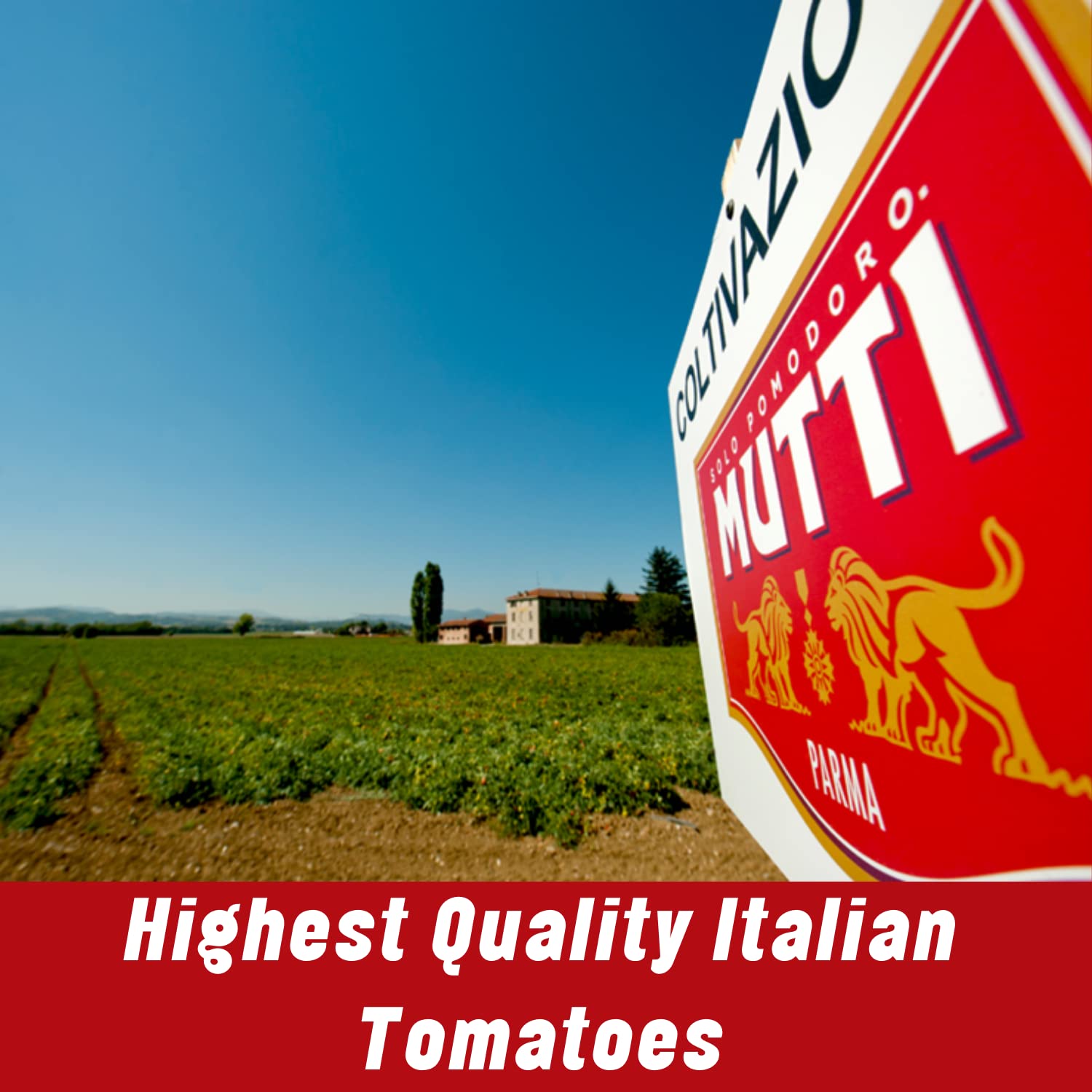 Mutti marinara idea using pelati tomatoes