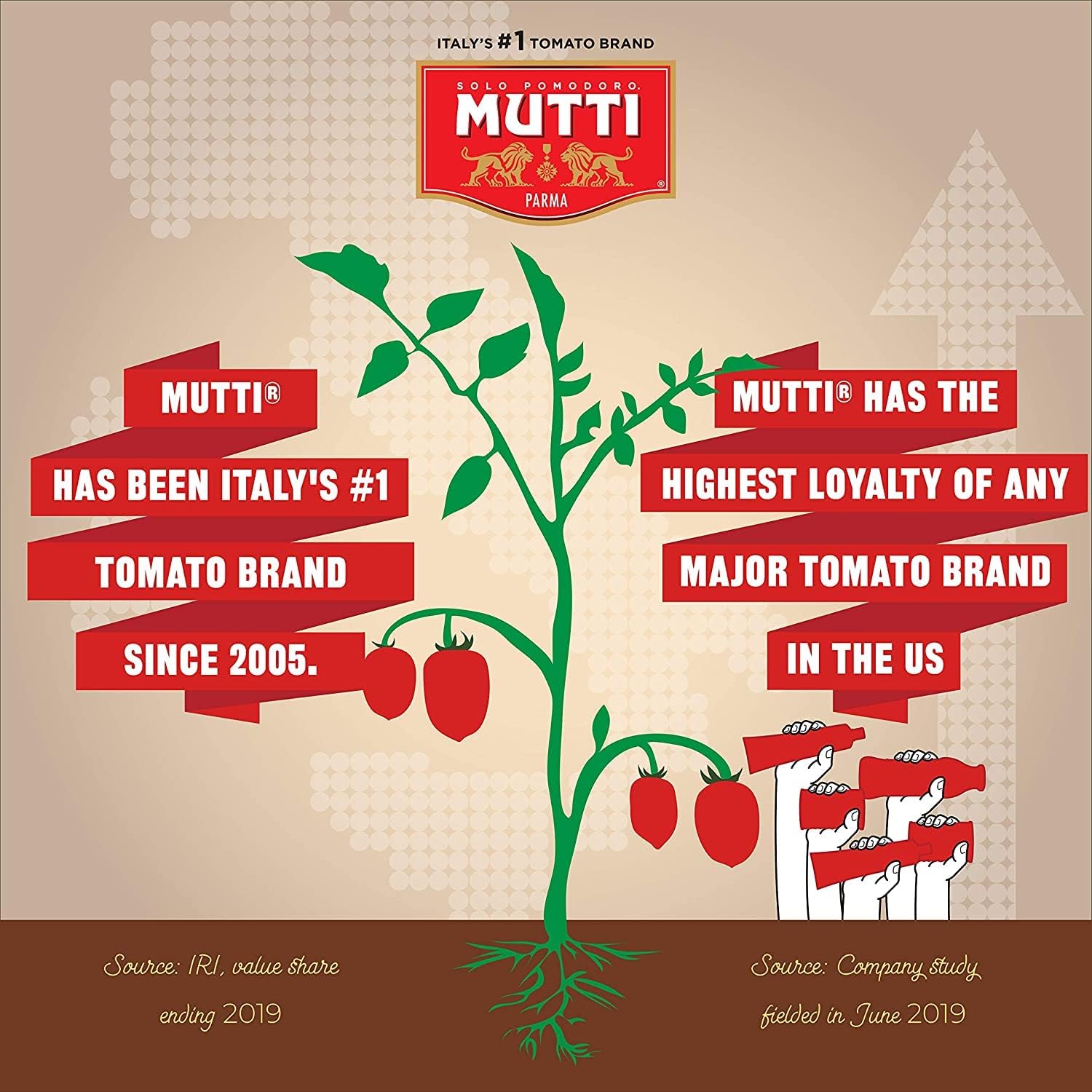 Mutti tomato puree basil passata simmering pot scene suggesting rich flavor development.