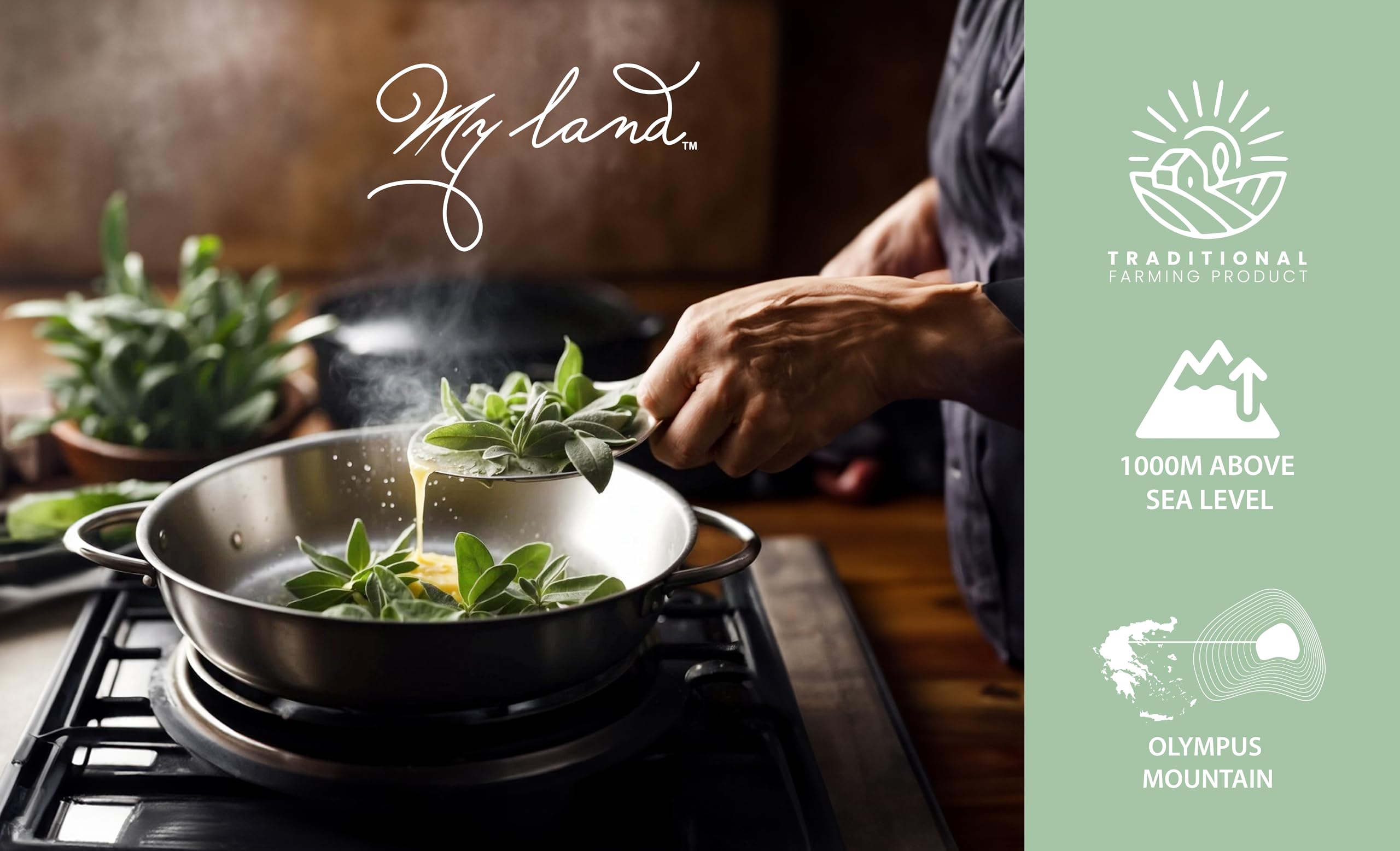 MY LAND Greek mountain sage aroma in a cup, suggesting a calming evening ritual.