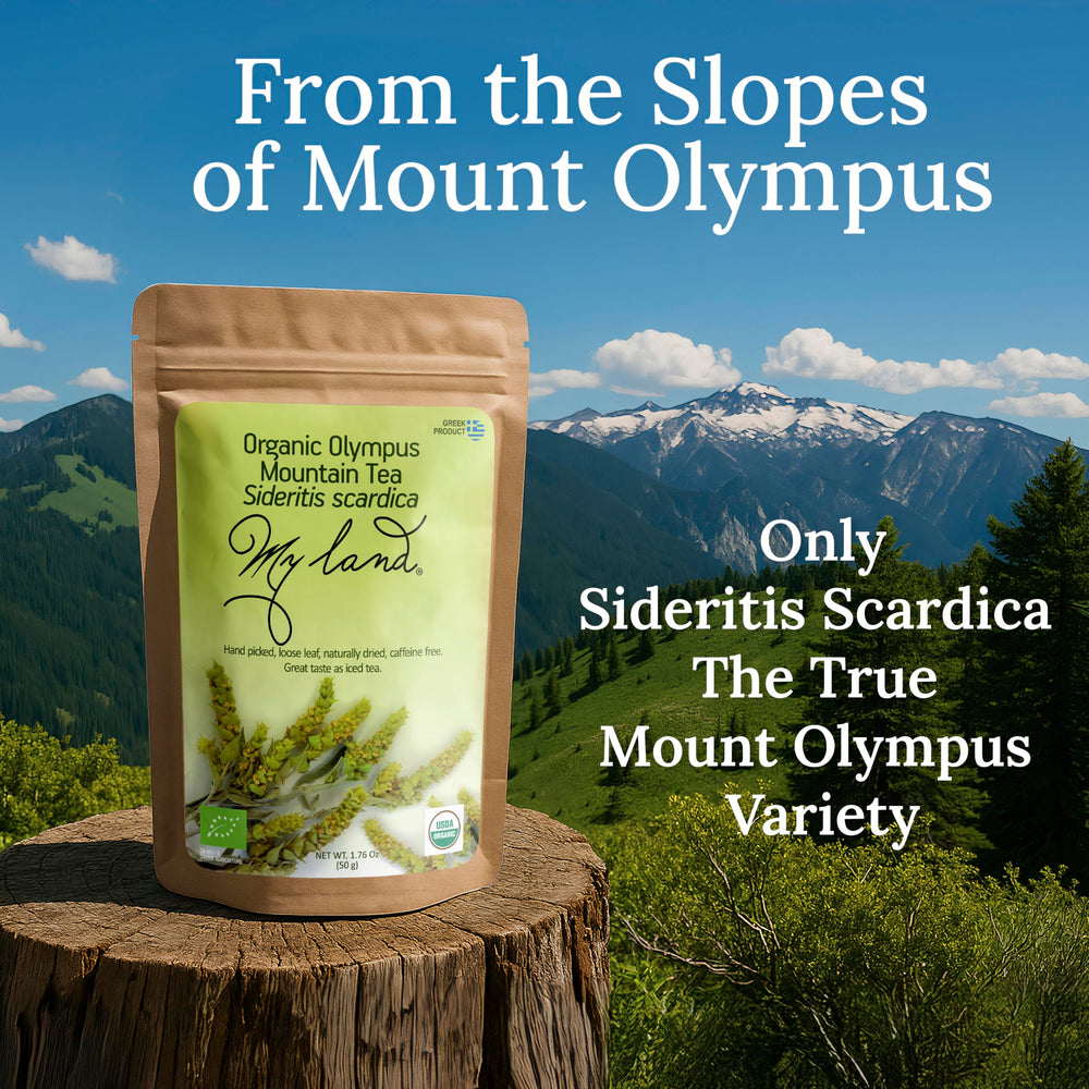 My Land Mount Olympus Sideritis Tea harvest image conveys authentic Greek ritual and purity.