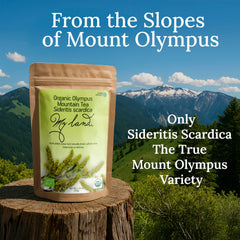 My Land Mount Olympus Sideritis Tea harvest image conveys authentic Greek ritual and purity.