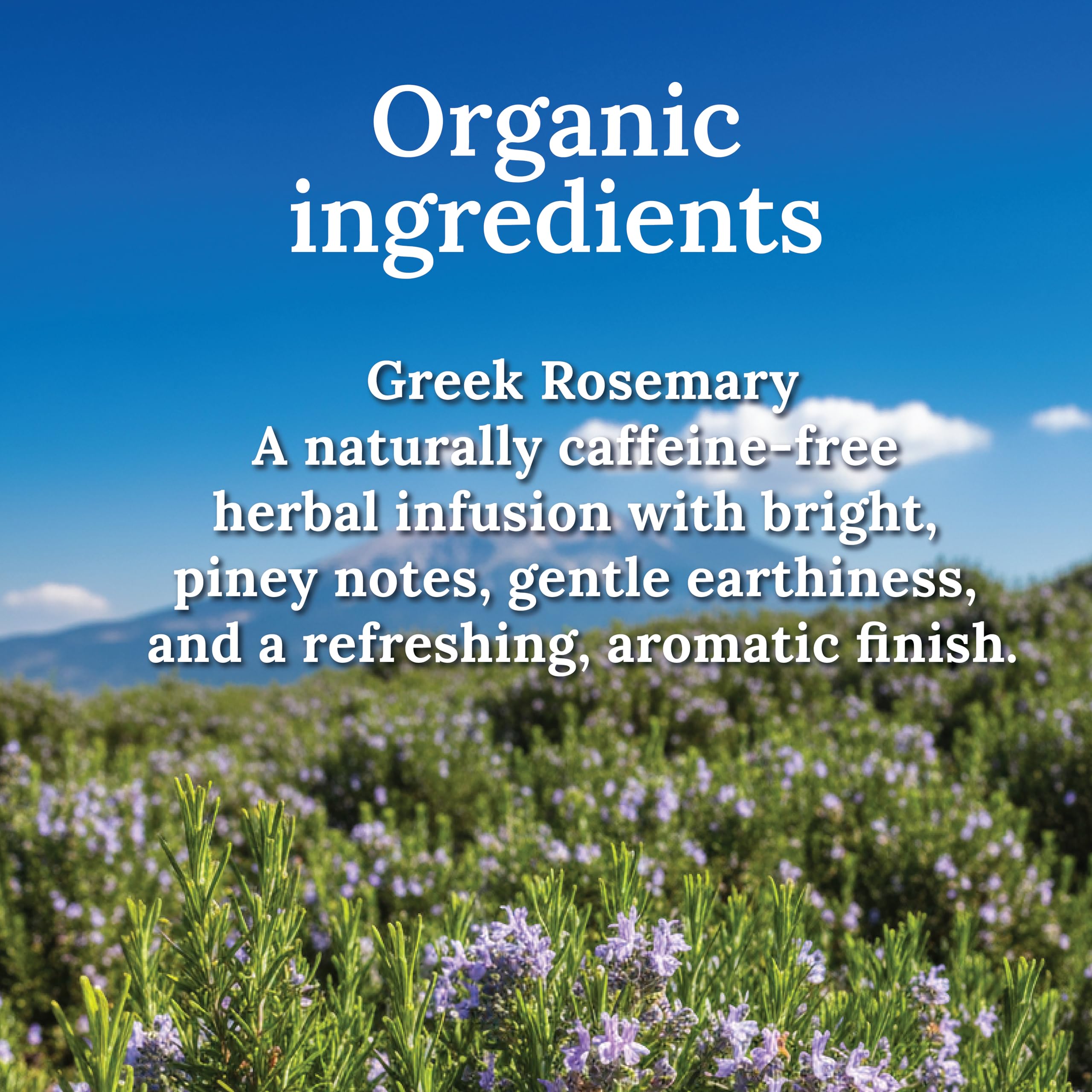 MY LAND rosemary sun-dried in Mediterranean field for rich aroma.