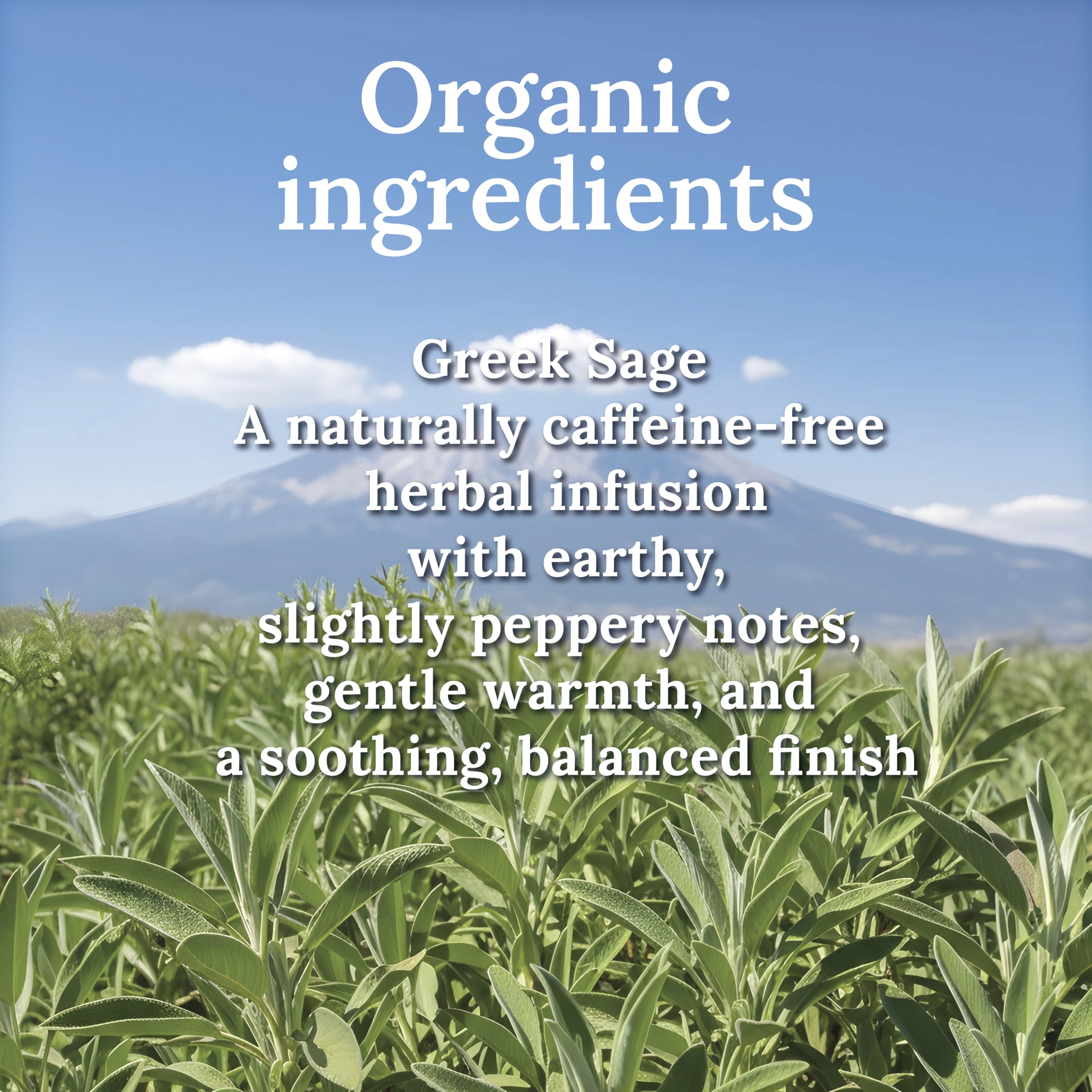 MY LAND small-family-farm sage leaves hand-picked in high-altitude air.