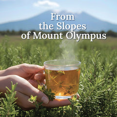MY LAND thyme leaves tea infusion demonstrates aromatic, caffeine-free option for flavorful brews.