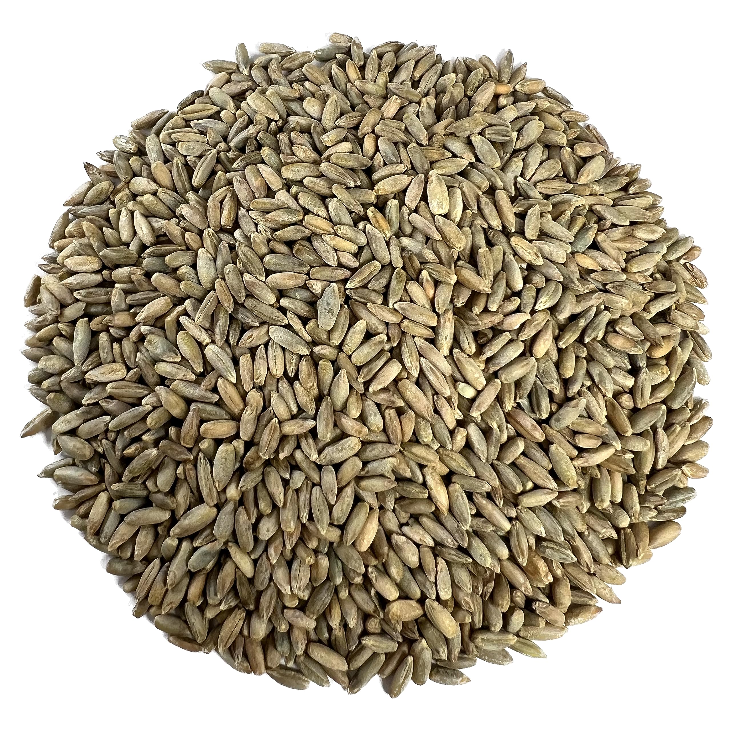 Myco Buddy organic rye berries in bulk package ready for pantry storage