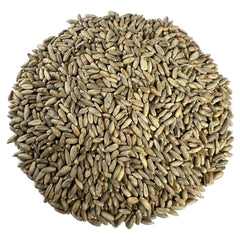Myco Buddy organic rye berries in bulk package ready for pantry storage