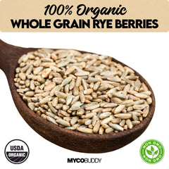 Myco Buddy Rye Berries closeup showing individual grains ideal for milling.