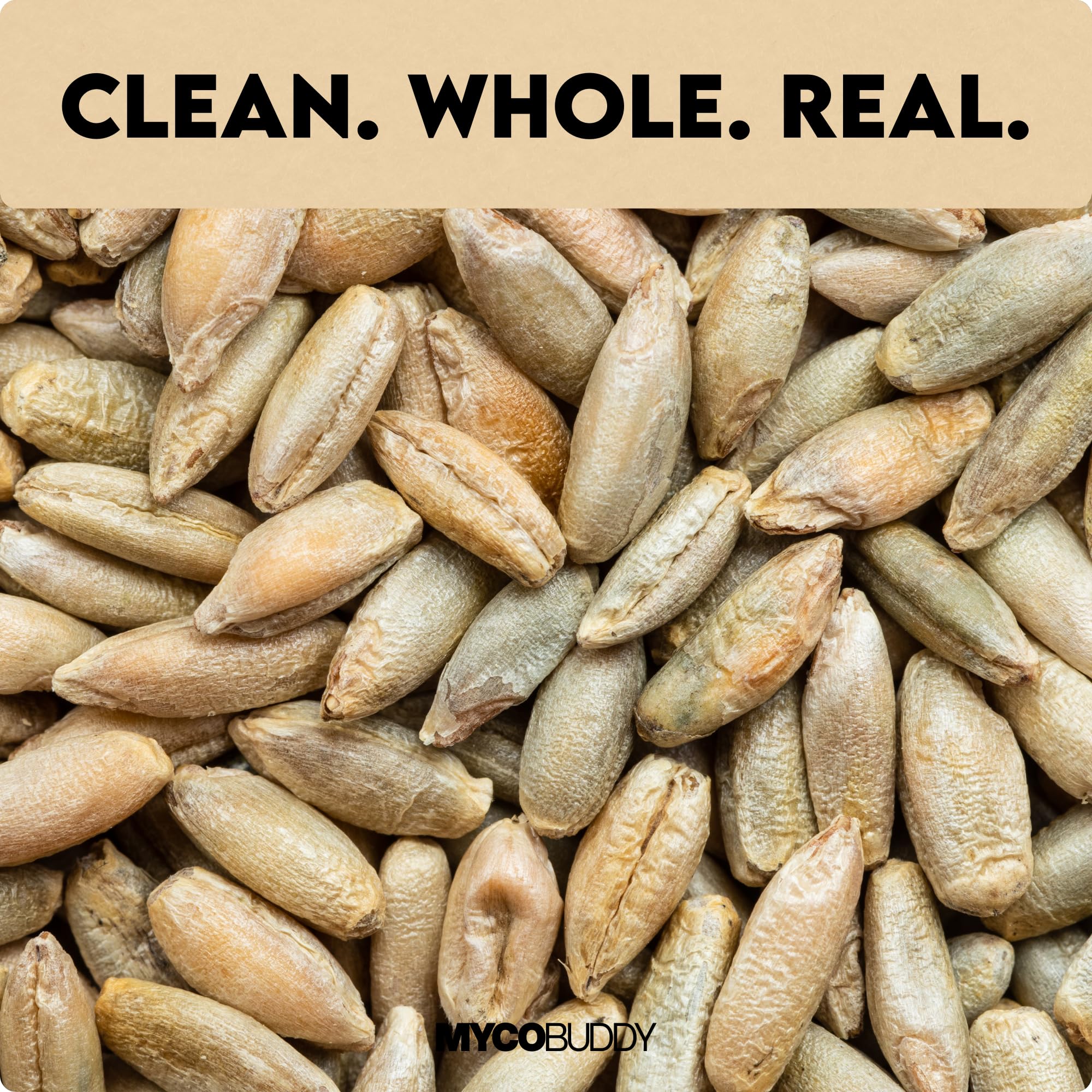 Myco Buddy USA harvest Rye Berries packaging highlights domestic grown quality.