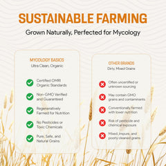 Mycology Basics rye berries hydration test demonstrates twofold mass gain