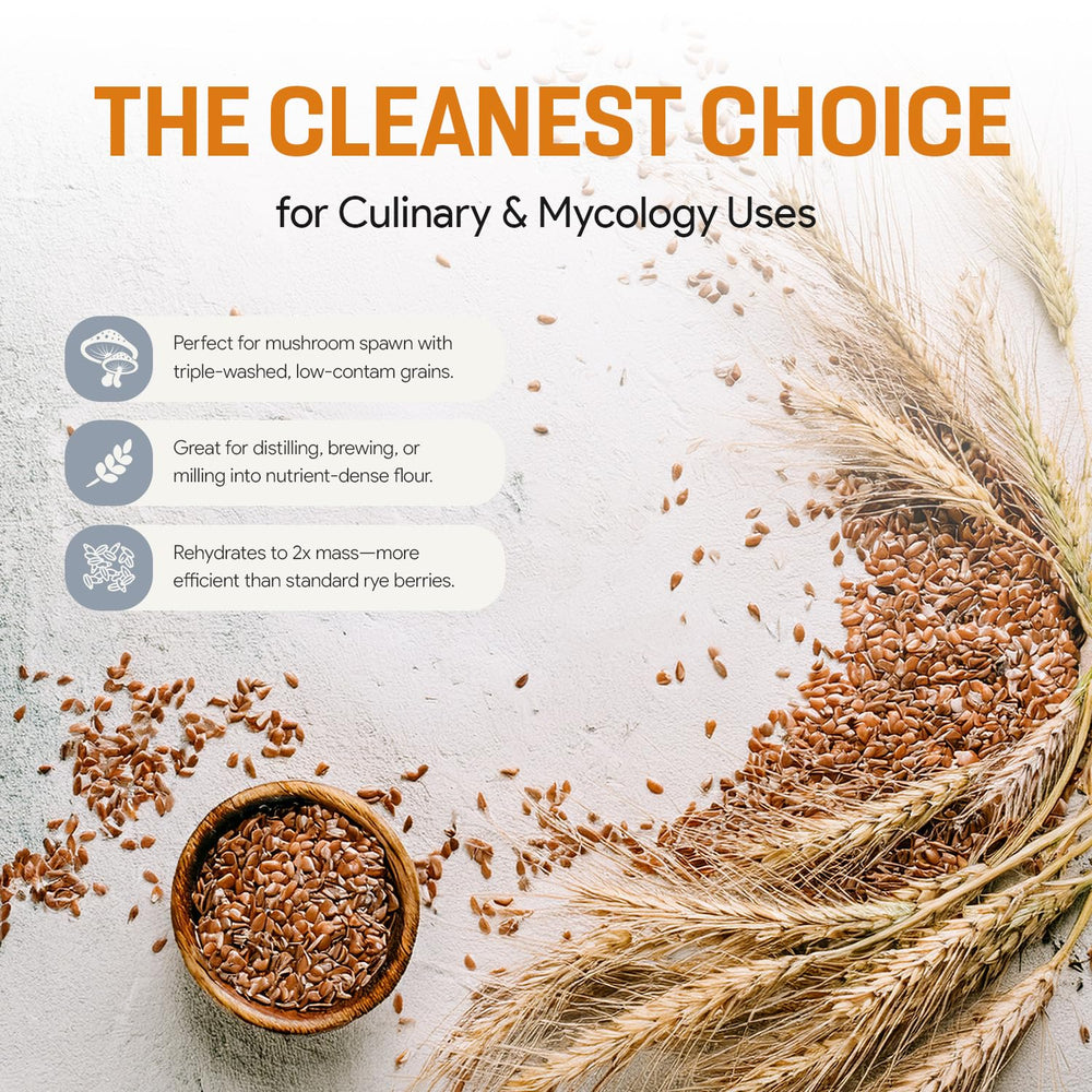 Mycology Basics organic regenerative farming mark emphasizes sustainability