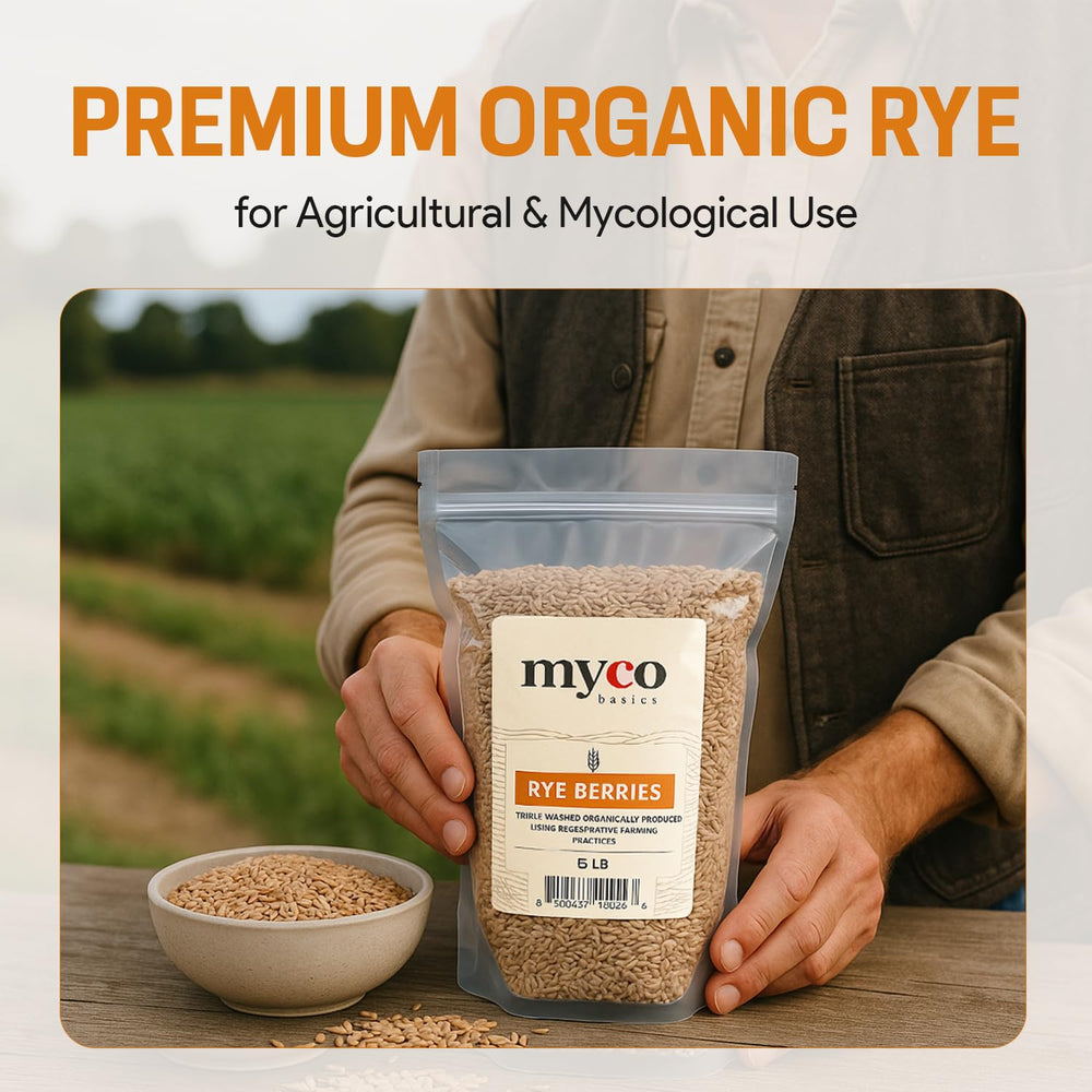 Mycology Basics rye berries used in distillery rye mash setup