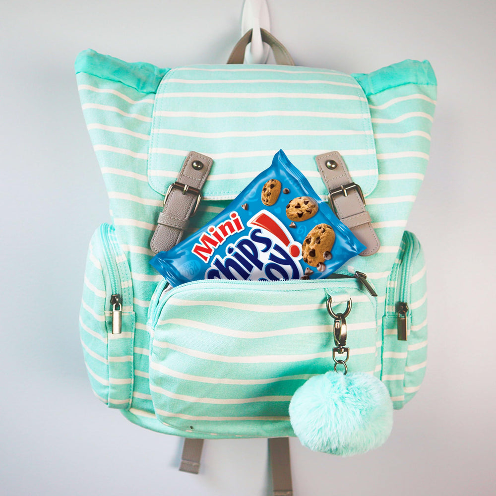 Nabisco Classic Mix individual snack packs arranged for easy lunch packing.