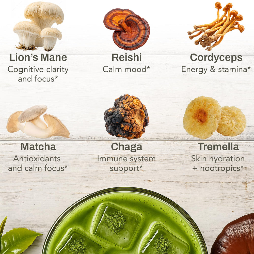 NACLEA 17-adaptogenic mushrooms blend graphic communicates varied vitality options.