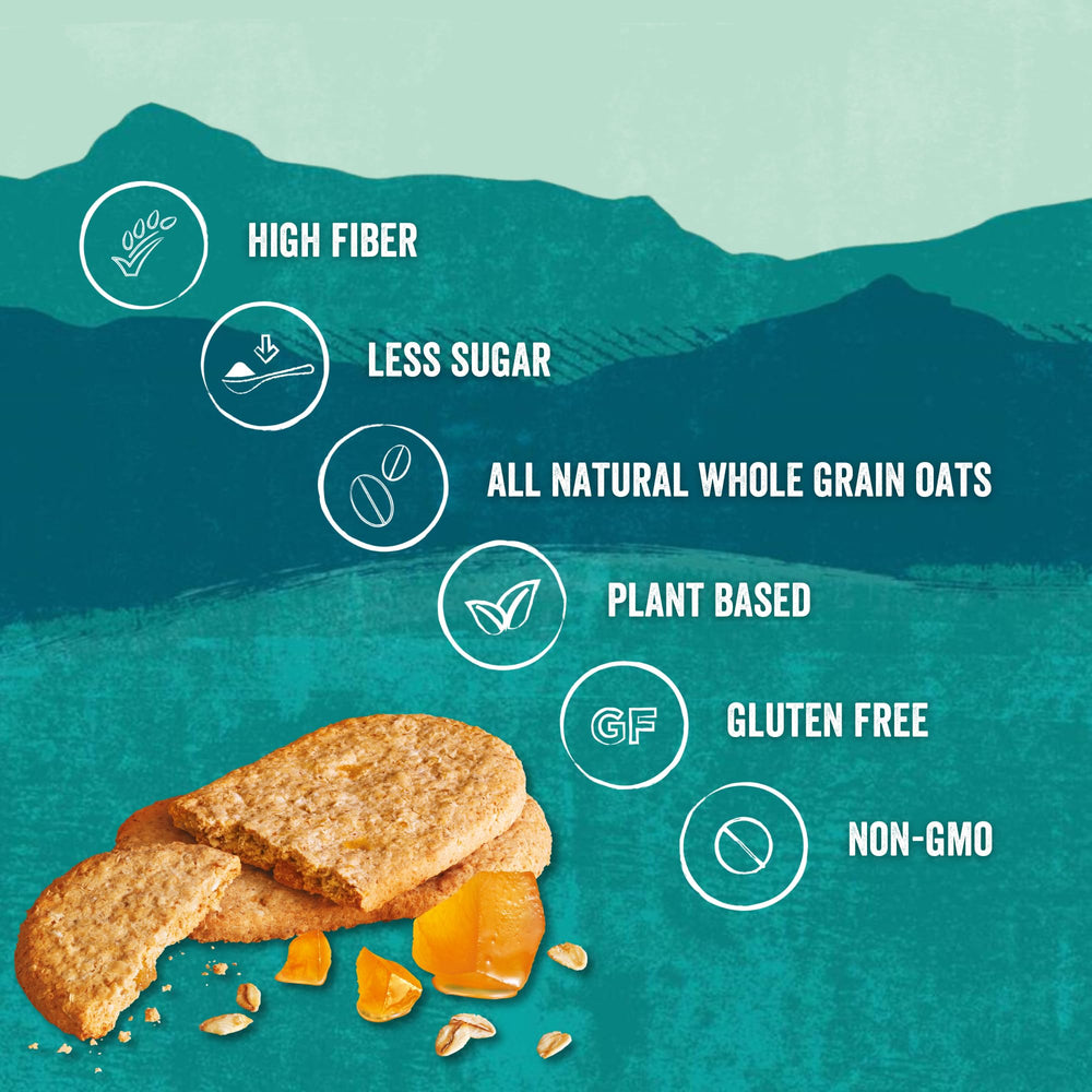 Close-up texture of Nairn's gluten-free stem ginger oat grahams showing crisp oats