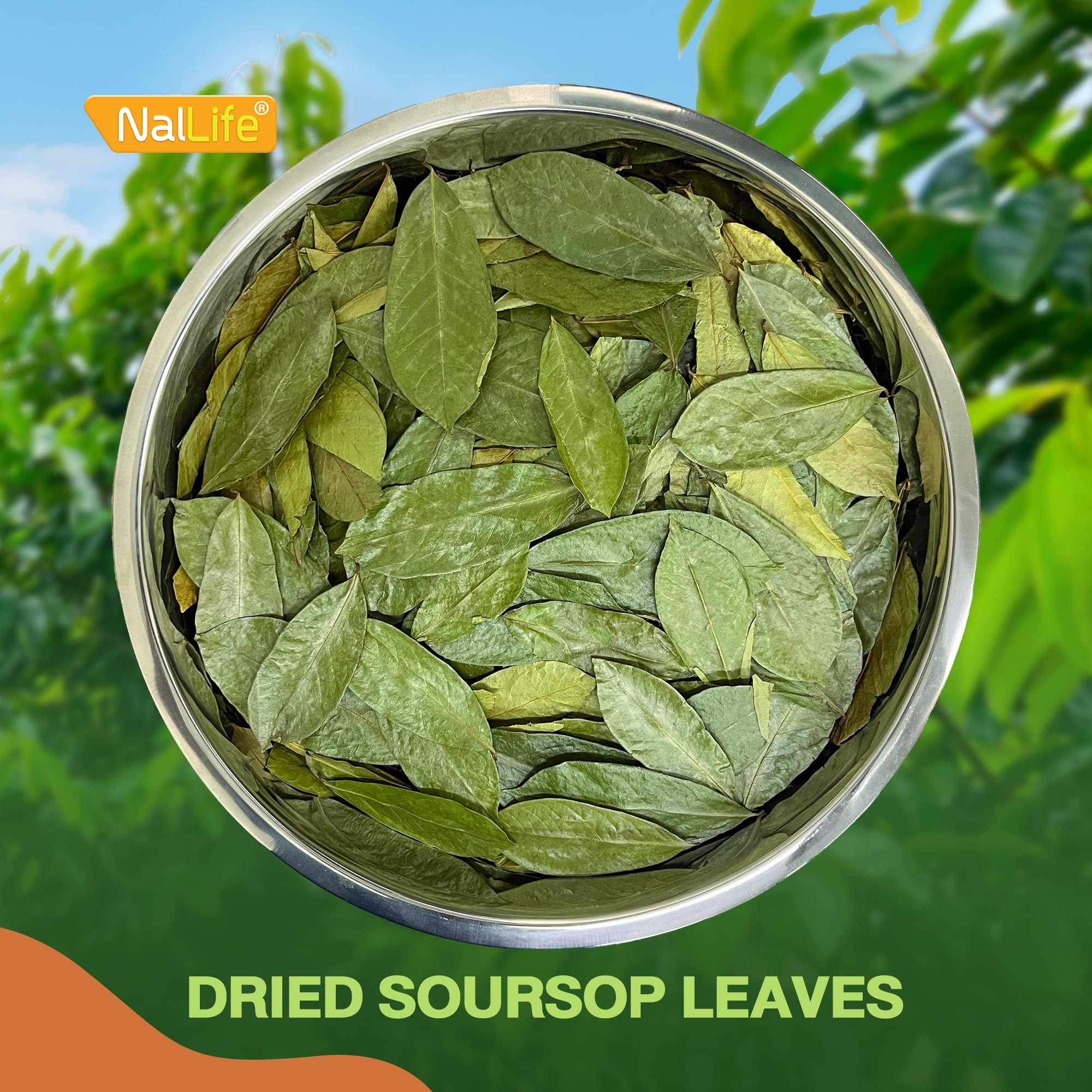 NalLife dried leaves close-up shows rich texture.