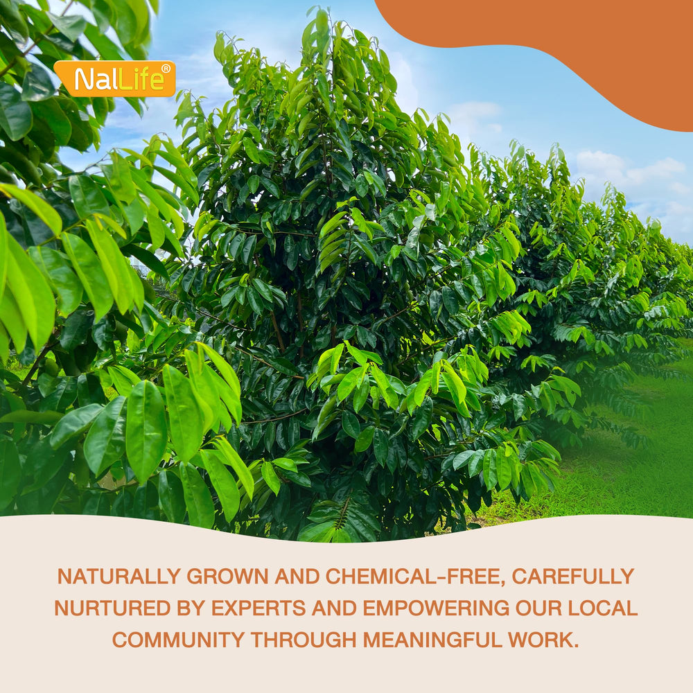 NalLife Soursop Leaves – Simple brew: 10–15 leaves per batch.
