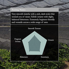 Naoki Matcha shade-grown tencha processing preserves freshness.