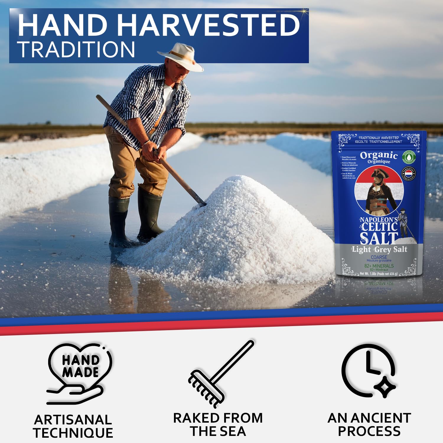 Napoleon's Celtic Salt marsh harvest workers at work