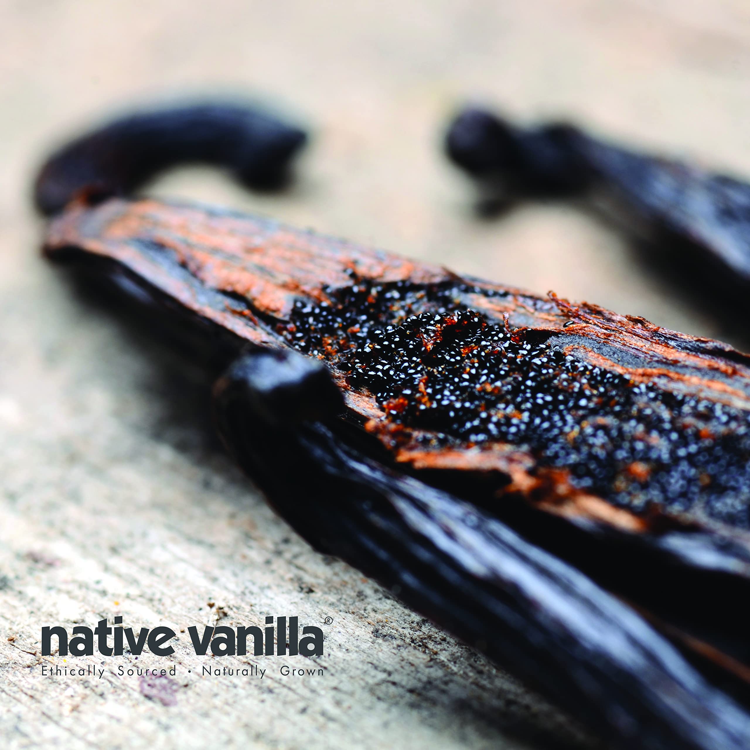 Native Vanilla close-up of dense vanilla seeds revealing flavor potential