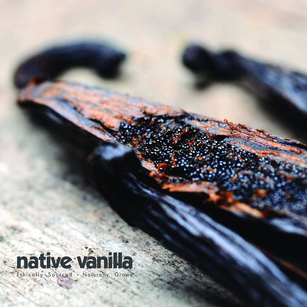 Native Vanilla close-up of dense vanilla seeds revealing flavor potential
