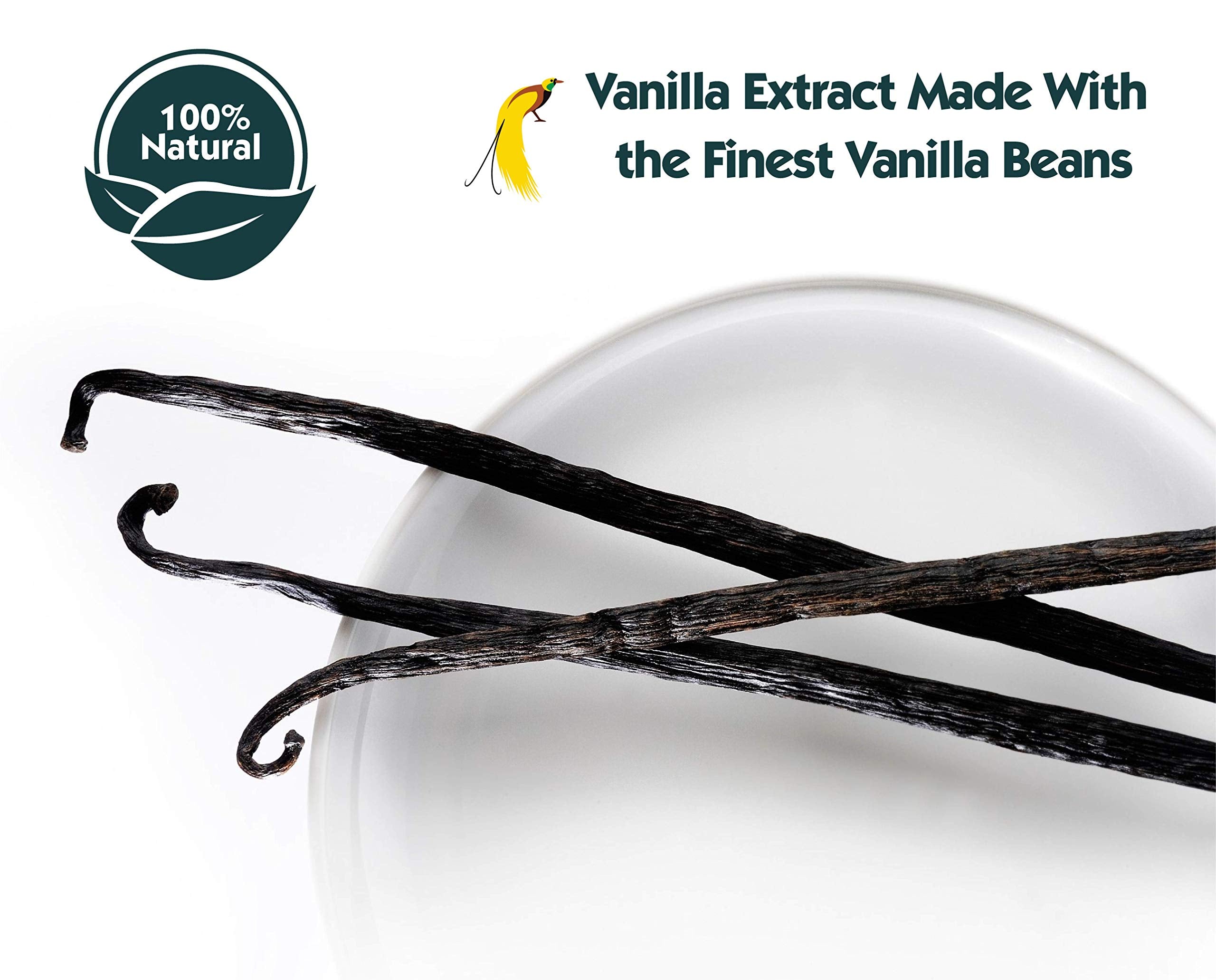 Non-GMO gluten-free badge on Native Vanilla bottle.