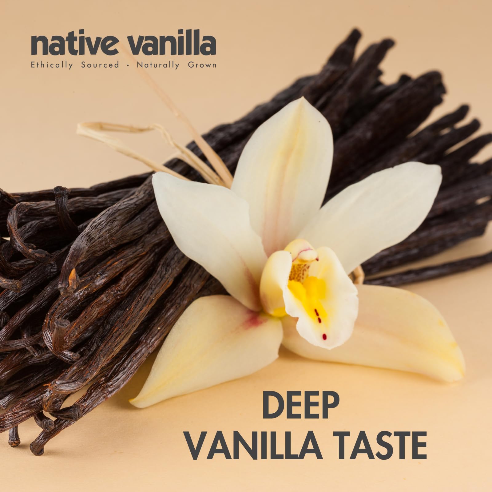 Close-up of speckled vanilla paste from Native Vanilla for rich baking