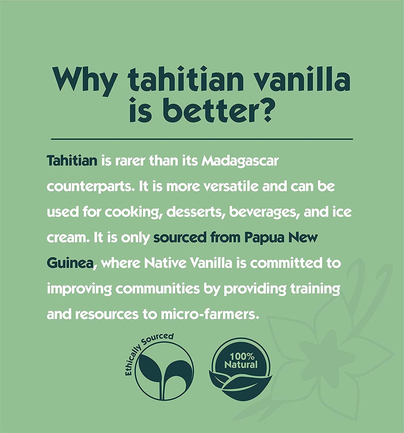 Native Vanilla vanilla bean powder in a dish shows versatile use in desserts and beverages.