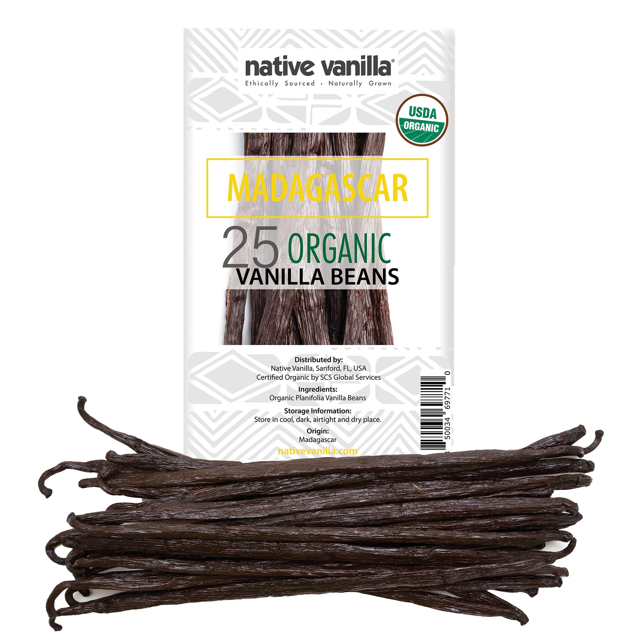 Native Vanilla Madagascar vanilla beans closeup showing rich seeds for baking