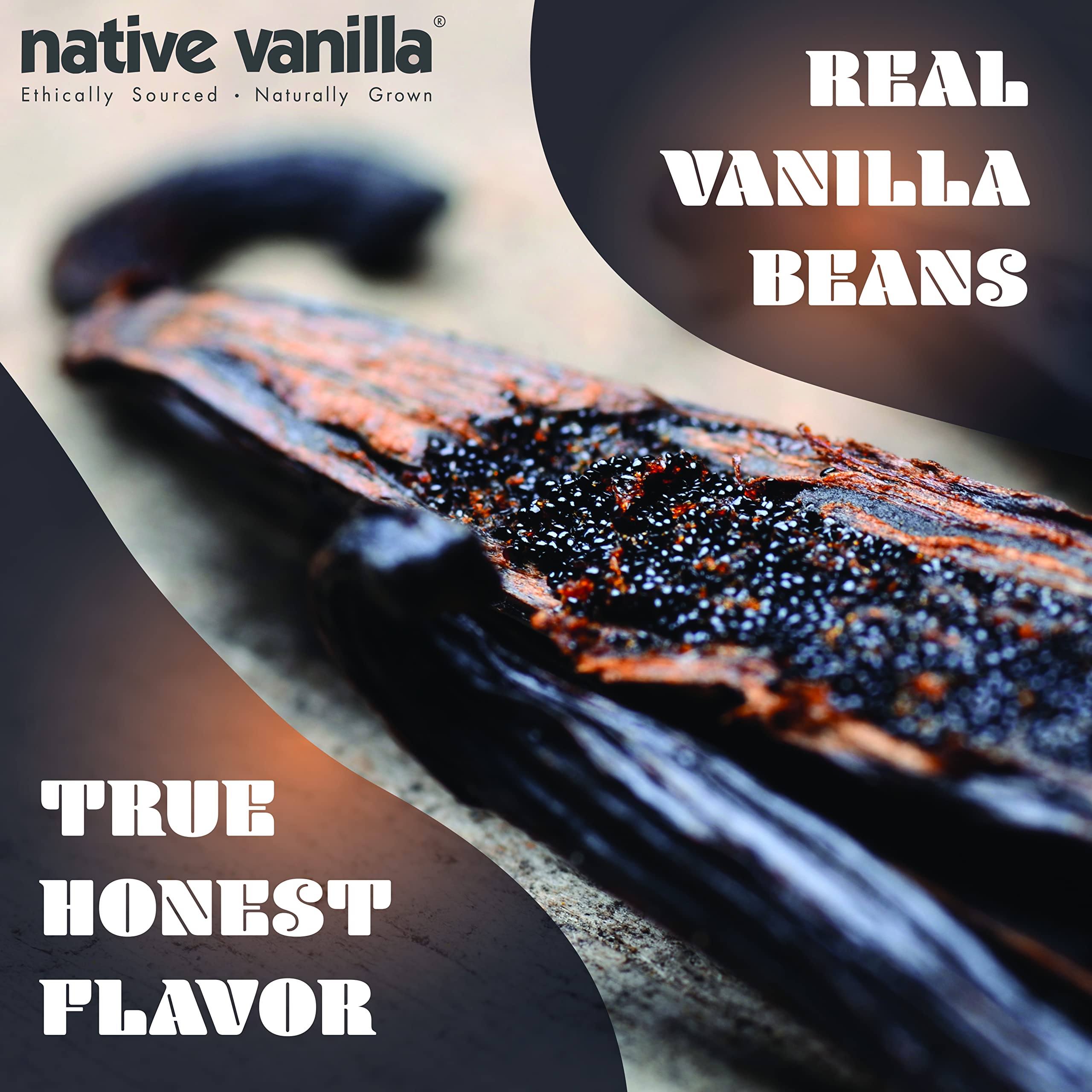 Native Vanilla close-up seeds reveal buttery notes for desserts