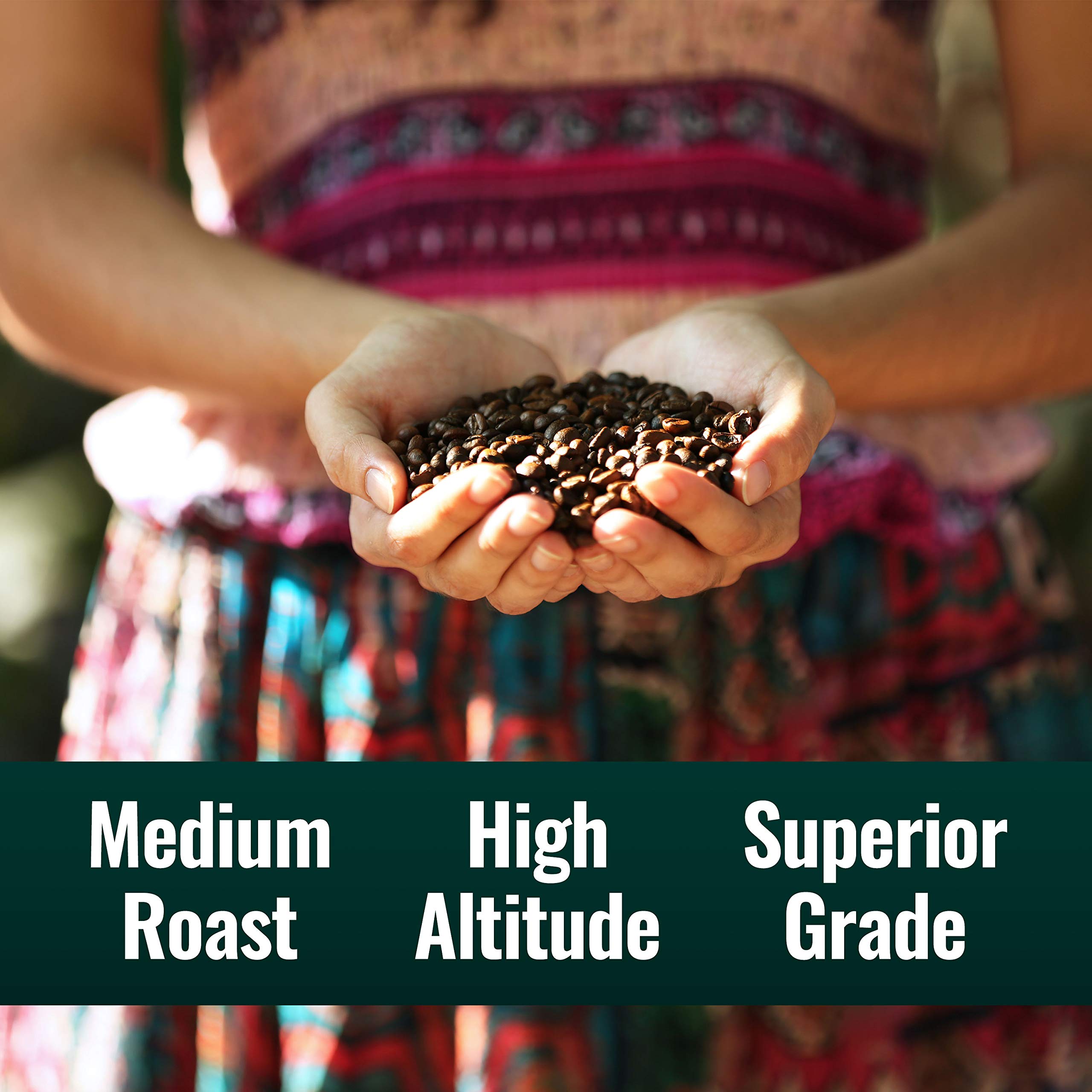 Natural Force Organic Clean Coffee label showing third-party testing for toxins and purity.