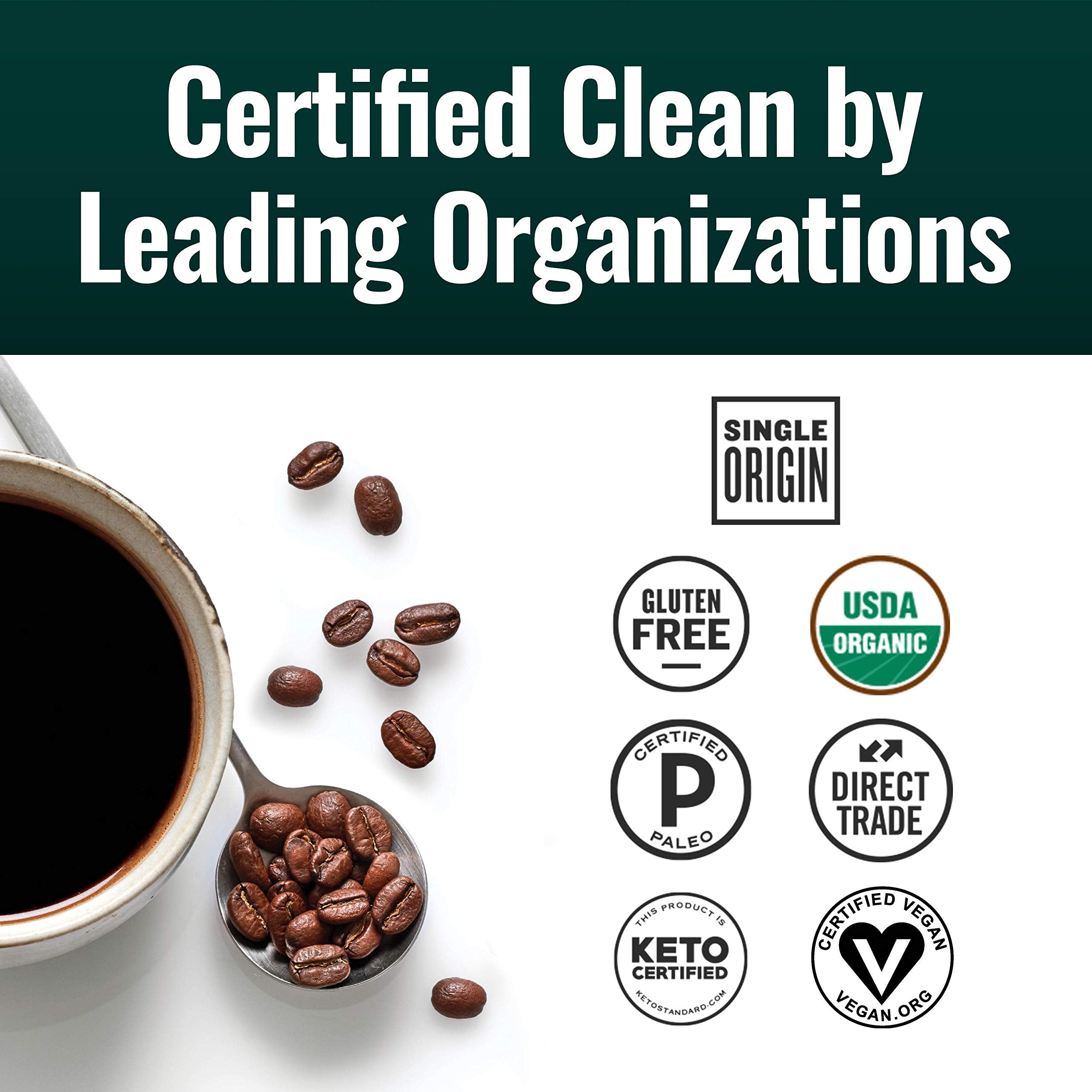 Natural Force dark roast beans in grinder, showcasing deep aroma and consistent grind