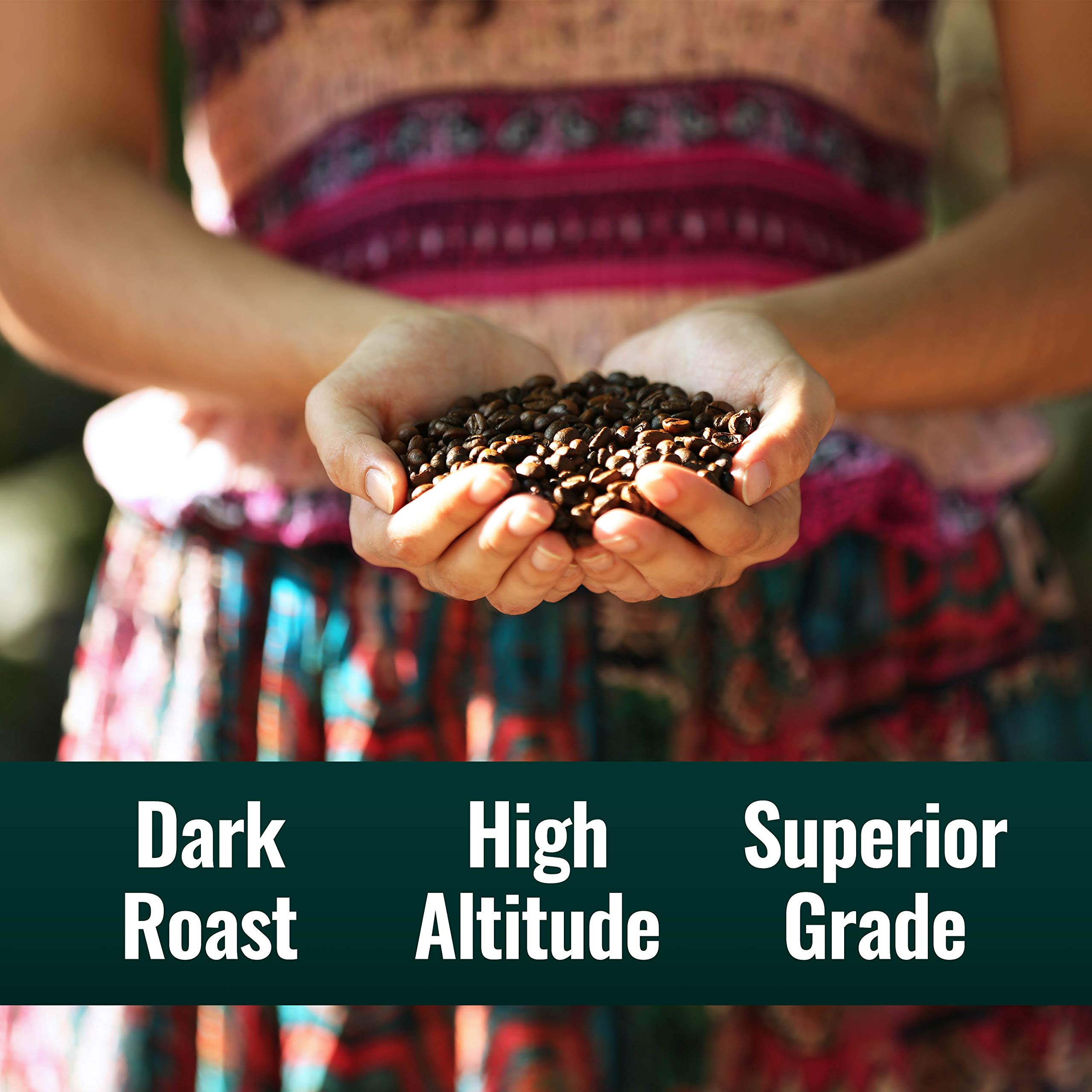 Natural Force French press brew setup, highlighting low acidity and rich mouthfeel