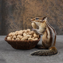 Naturalee peanuts in shell product shot highlighting natural quality