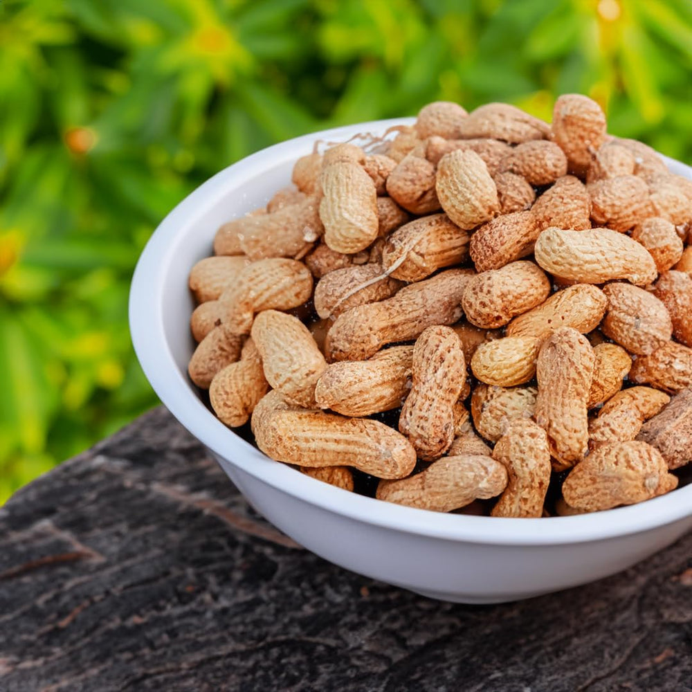 Naturalee peanuts in shell, roasted and salted, close-up texture and aroma