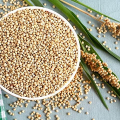 Stovetop popping Nature Nate’s Popped Sorghum, customizable texture and flavor