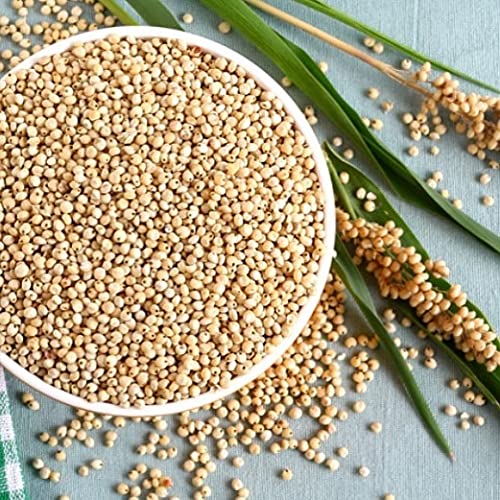 Crisp sorghum with light sea salt texture and satisfying crunch.