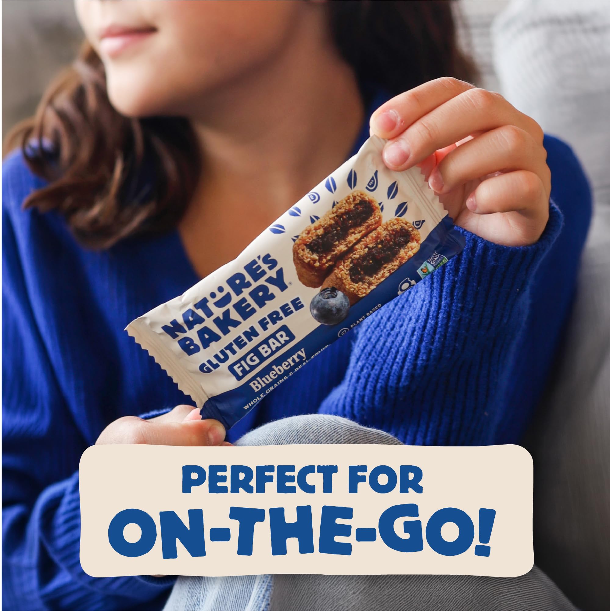 Nature's Bakery blueberry fig bars on the go snack